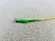 patch cord pigtail